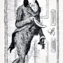 A pen-and-ink illustration from Pride and Prejudice
